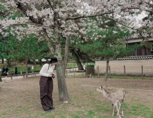 Aye Wutyi Thaung Instagram - Stay close to nature 🌸🌸🌸#nara #sakurablossom #2023