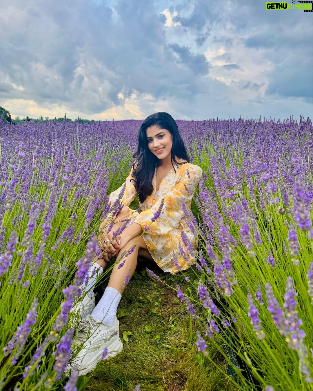 Ayra Bansal - 75.3K Likes - Fields of lavender and endless serenity. 
.
.
#ayrabansal #kelsolavender #newpost #canadatoronto🇨🇦