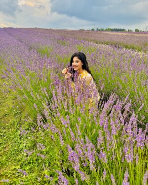 Ayra Bansal Instagram - Fields of lavender and endless serenity.
.
.
#ayrabansal #kelsolavender #newpost #canadatoronto🇨🇦