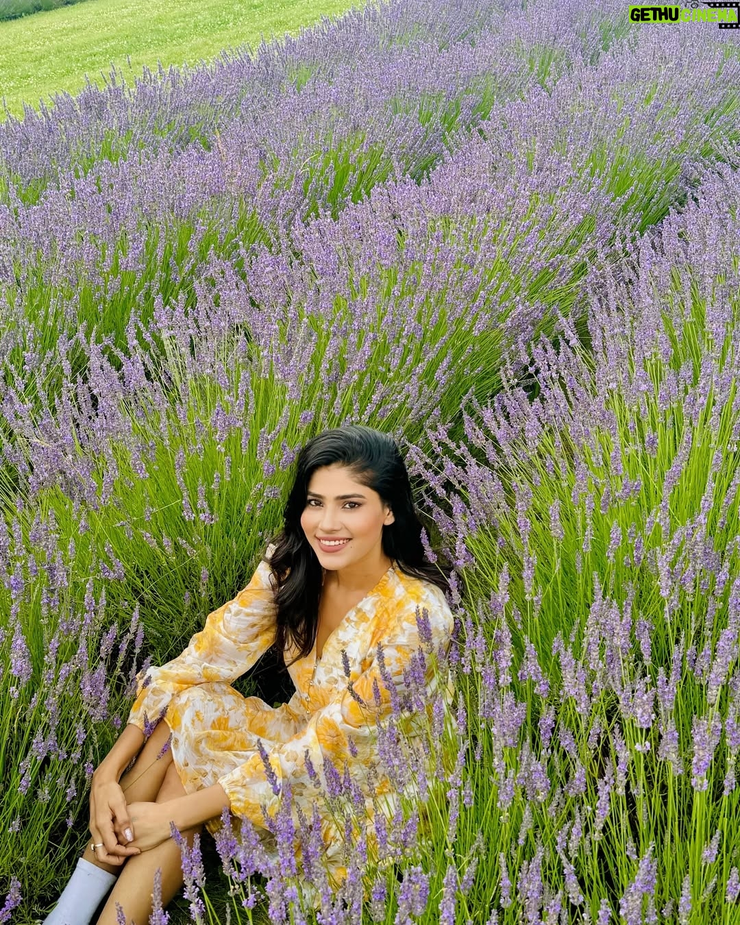 Ayra Bansal - 75.3K Likes - Fields of lavender and endless serenity. 
.
.
#ayrabansal #kelsolavender #newpost #canadatoronto🇨🇦