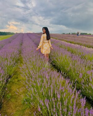 Ayra Bansal Instagram - Fields of lavender and endless serenity. 
.
.
#ayrabansal #kelsolavender #newpost #canadatoronto🇨🇦