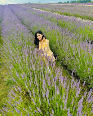 Ayra Bansal Instagram - Fields of lavender and endless serenity. 
.
.
#ayrabansal #kelsolavender #newpost #canadatoronto🇨🇦