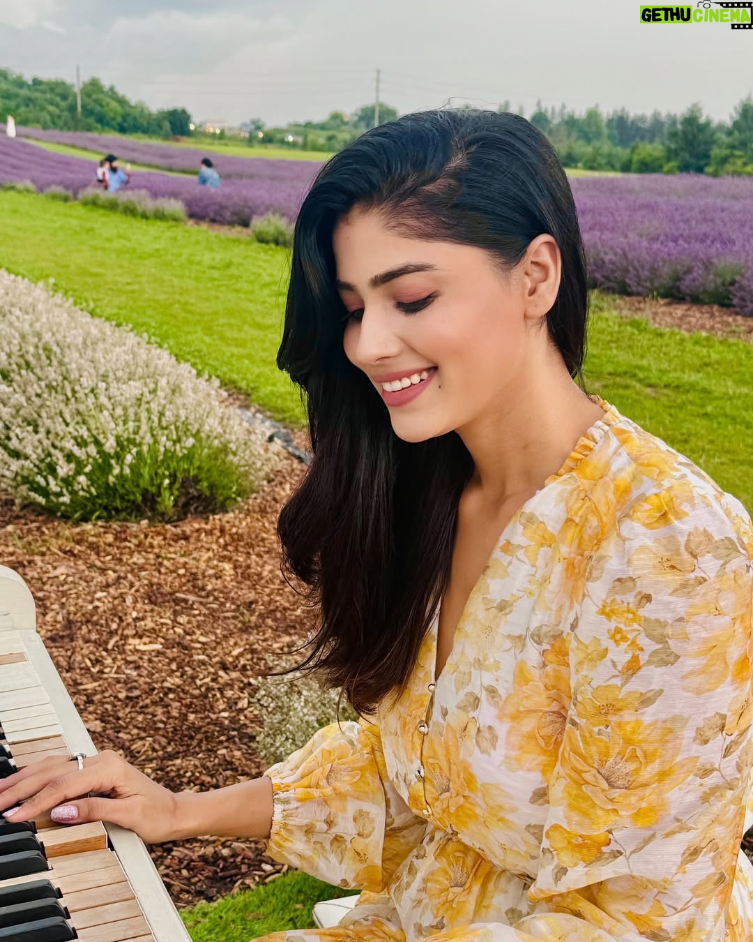Ayra Bansal - 75.3K Likes - Fields of lavender and endless serenity. 
.
.
#ayrabansal #kelsolavender #newpost #canadatoronto🇨🇦