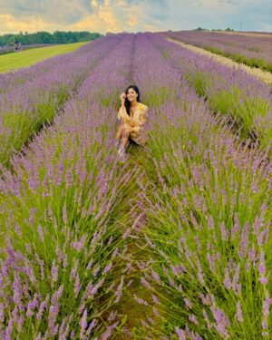 Ayra Bansal Instagram - Fields of lavender and endless serenity. 
.
.
#ayrabansal #kelsolavender #newpost #canadatoronto🇨🇦