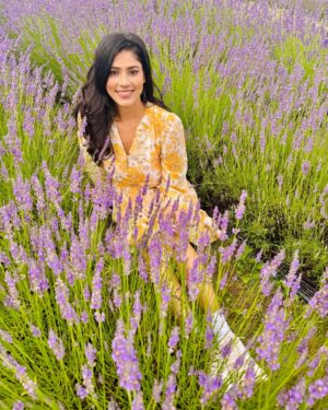 Ayra Bansal Instagram - Fields of lavender and endless serenity. 
.
.
#ayrabansal #kelsolavender #newpost #canadatoronto🇨🇦