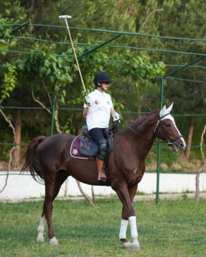 Aysanem Yusupova Instagram - O’zbekiston polo federatsiyasi ambassadori boldim 🐎Kichkinaligimdan ot minishni juda yaxshi koraman
sizchi ot sportiga qiziqasizmi?