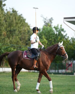 Aysanem Yusupova Instagram - O’zbekiston polo federatsiyasi ambassadori boldim 🐎Kichkinaligimdan ot minishni juda yaxshi koraman
sizchi ot sportiga qiziqasizmi?