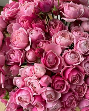 Aysanem Yusupova Instagram - Bayram muborak bolsin gozallarim🌷