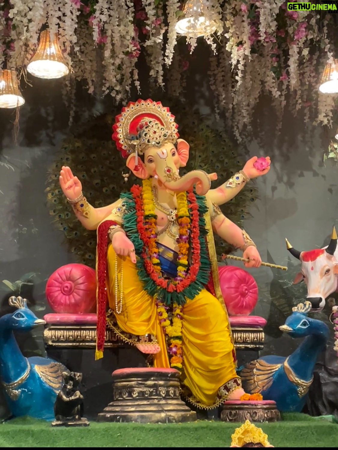 Baishali Sinha - 43.3K Likes - O my friend ganesha tu rehna sath hamesha 😭