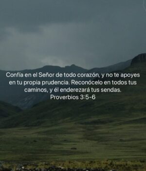 Bárbara Palacios Instagram - La oración más sabia es: 
DIOS que se haga tu voluntad y no la mía 🙌🏻

“Venga tu reino. Hágase tu voluntad, en la tierra como en el cielo.”
‭‭San Mateo‬ ‭6‬:‭10‬ ‭ (RVC)🔥

La paz llega cuando dejamos todo en manos de DIOS y confiamos en Su plan. Su voluntad siempre será mejor que cualquier deseo nuestro.

Descansar en la voluntad de DIOS es creer que Él sabe lo que nosotros aún no vemos.

Cuando pedimos que se cumpla Su voluntad, renunciamos al control y abrazamos la fe.

Su plan siempre es perfecto, aunque a veces no lo entendamos.

DIOS te Bendiga Inmensamente ❤️

#VoluntadDeDios #GraciasSeñor #Fe #inspiración #SerMejorQueAyer #DIOS #BarbaraPalacios #MissUniverse  #Evangelista #Autora #Conferencista #Teologa #LifeCoach #InspiradoraUniversal  #MaestraDeLaInspiracion 💖