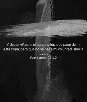 Bárbara Palacios Instagram - La oración más sabia es: 
DIOS que se haga tu voluntad y no la mía 🙌🏻

“Venga tu reino. Hágase tu voluntad, en la tierra como en el cielo.”
‭‭San Mateo‬ ‭6‬:‭10‬ ‭ (RVC)🔥

La paz llega cuando dejamos todo en manos de DIOS y confiamos en Su plan. Su voluntad siempre será mejor que cualquier deseo nuestro.

Descansar en la voluntad de DIOS es creer que Él sabe lo que nosotros aún no vemos.

Cuando pedimos que se cumpla Su voluntad, renunciamos al control y abrazamos la fe.

Su plan siempre es perfecto, aunque a veces no lo entendamos.

DIOS te Bendiga Inmensamente ❤️

#VoluntadDeDios #GraciasSeñor #Fe #inspiración #SerMejorQueAyer #DIOS #BarbaraPalacios #MissUniverse  #Evangelista #Autora #Conferencista #Teologa #LifeCoach #InspiradoraUniversal  #MaestraDeLaInspiracion 💖