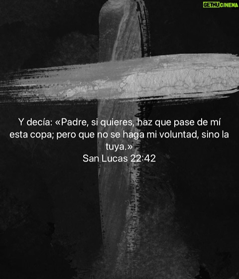 Bárbara Palacios - 3 Likes - La oración más sabia es: 
DIOS que se haga tu voluntad y no la mía 🙌🏻

“Venga tu reino. Hágase tu voluntad, en la tierra como en el cielo.”
‭‭San Mateo‬ ‭6‬:‭10‬ ‭ (RVC)🔥

La paz llega cuando dejamos todo en manos de DIOS y confiamos en Su plan. Su voluntad siempre será mejor que cualquier deseo nuestro.

Descansar en la voluntad de DIOS es creer que Él sabe lo que nosotros aún no vemos.

Cuando pedimos que se cumpla Su voluntad, renunciamos al control y abrazamos la fe.

Su plan siempre es perfecto, aunque a veces no lo entendamos.

DIOS te Bendiga Inmensamente ❤️

#VoluntadDeDios #GraciasSeñor #Fe #inspiración #SerMejorQueAyer #DIOS #BarbaraPalacios #MissUniverse  #Evangelista #Autora #Conferencista #Teologa #LifeCoach #InspiradoraUniversal  #MaestraDeLaInspiracion 💖