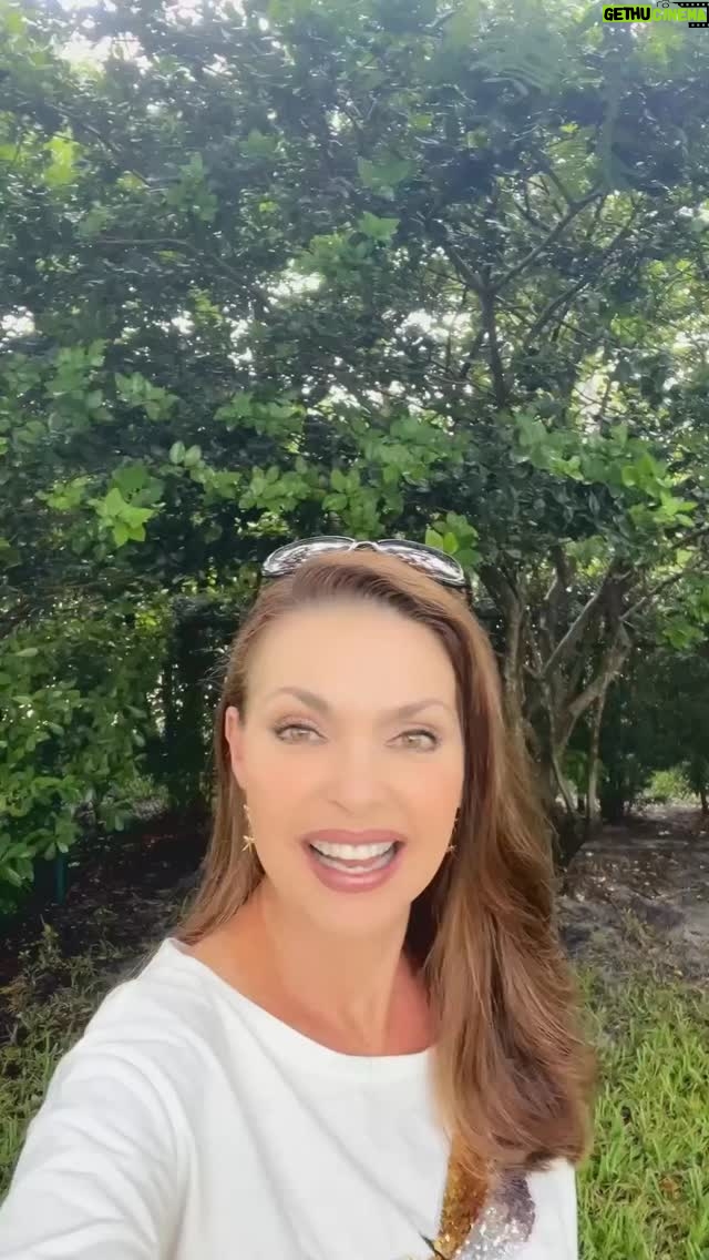 Bárbara Palacios - 3 Likes - Dos palabras muy importantes Humildad y Aceptacion 💫💫

“Riquezas, honra y vida son la remuneración de la humildad y del temor de Jehová.”
‭‭Proverbios‬ ‭22:4‬ ‭(RVR1960‬‬)🔥

“Todo tiene su tiempo, y todo lo que se quiere debajo del cielo tiene su hora.”
Eclesiastés 3:1 (RVR1960)🔥

“Confía en Jehová con todo tu corazón, y no te apoyes en tu propia prudencia. Reconócelo en todos tus caminos, y él enderezará tus veredas.”
Proverbios 3:5-6 (RVR1960)🔥

DIOS te Bendiga Inmensamente ❤️

#Humildad #Aceptacion #inspiración #Fe #SerMejorQueAyer #DIOS #BarbaraPalacios #MissUniverse  #Evangelista #Autora #Conferencista #Teologa #LifeCoach #InspiradoraUniversal  #MaestraDeLaInspiracion 💖