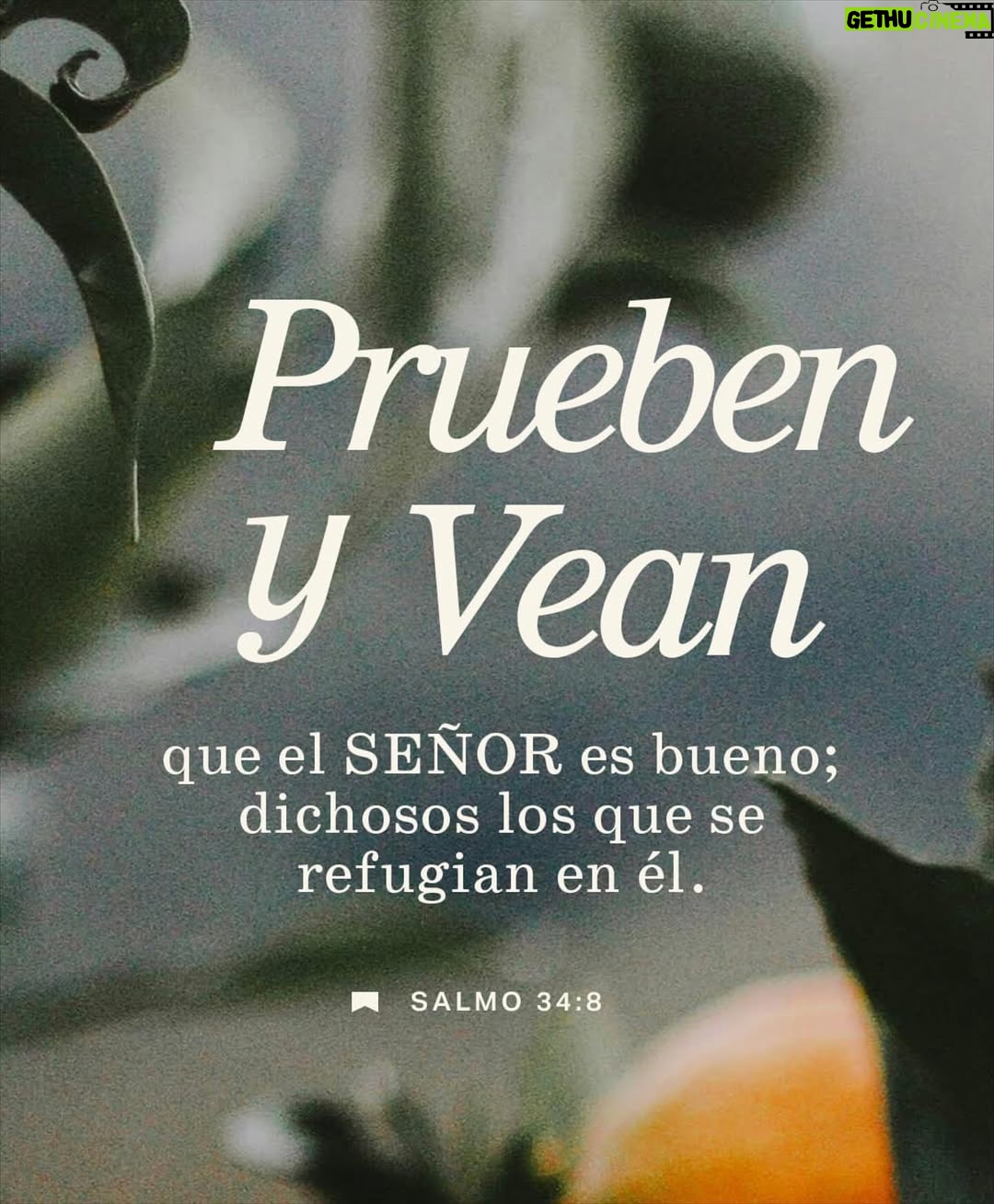 Bárbara Palacios - 3 Likes - La bondad de DIOS es inmutable 💫

Él no depende de nuestras circunstancias; al contrario, en medio del dolor, su amor y su bondad nos sostienen. Cuando no entendemos lo que pasa, podemos confiar en que su corazón siempre es bueno.❤️

“¡Prueben ustedes mismos la bondad del Señor! ¡Dichoso aquel que en él confía!”
‭‭Salmos‬ ‭34‬:‭8‬ 🔥‭ (RVC‬‬)

“Es bueno el Señor con quienes le buscan, con quienes en él esperan.”
‭‭Lamentaciones‬ ‭3‬:‭25‬ ‭🔥 (RVC‬‬)

“¡El Señor es bueno! ¡Su misericordia es eterna! ¡Su verdad permanece para siempre!”
‭‭Salmos‬ ‭100‬:‭5‬ ‭🔥 (RVC‬‬)

DIOS te Bendiga Inmensamente ❤️

#DiosEsBueno #GraciasDios 

#inspiración #Inspiration #SerMejorQueAyer #DIOS #BarbaraPalacios #MissUniverse  #Evangelista #Autora #Conferencista #Teologa #LifeCoach #InspiradoraUniversal  #MaestraDeLaInspiracion 💖