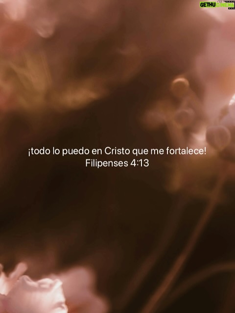 Bárbara Palacios - 3 Likes - Cuando tú te das por vencido, 
DIOS apenas está empezando.🔥

No pierdas la fe, porque Él tiene el control y Su poder se perfecciona en nuestra debilidad.🙌🏻

“Y me ha dicho: Bástate mi gracia; porque mi poder se perfecciona en la debilidad. Por tanto, de buena gana me gloriaré más bien en mis debilidades, para que repose sobre mí el poder de Cristo.”
2 CORINTIOS 12:9 (RVR1960)🔥

“pero los que confían en el Señor recobran las fuerzas y levantan el vuelo, como las águilas; corren, y no se cansan; caminan, y no se fatigan.”
Isaías 40:31 (RVC)🔥

“¡todo lo puedo en Cristo que me fortalece!”
Filipenses 4:13 (RVC)🔥

DIOS te Bendiga Inmensamente ❤️

#DiosTeAma #inspiración #Fe #SerMejorQueAyer #DIOS #BarbaraPalacios #MissUniverse  #Evangelista #Autora #Conferencista #Teologa #LifeCoach #InspiradoraUniversal  #MaestraDeLaInspiracion 💖