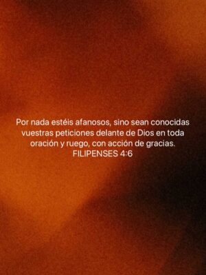 Bárbara Palacios Instagram - No permitas que las circunstancias cambien en ti, el deseo de alcanzar el Propósito de Vida que DIOS te concedió 💫

“Por nada estéis afanosos, sino sean conocidas vuestras peticiones delante de Dios en toda oración y ruego, con acción de gracias. Y la paz de Dios, que sobrepasa todo entendimiento, guardará vuestros corazones y vuestros pensamientos en Cristo Jesús.”
‭‭Filipenses‬ ‭4‬:‭6‬-‭7‬ ‭ (RVR1960‬‬)🔥

“La paz os dejo, mi paz os doy; yo no os la doy como el mundo la da. No se turbe vuestro corazón, ni tenga miedo.”
‭‭S. Juan‬ ‭14‬:‭27‬ ‭ (RVR1960‬‬)🔥

DIOS te Bendiga Inmensamente ❤️

#PropositoDeVida #GraciasDios #inspiración #Inspiration #SerMejorQueAyer #DIOS #BarbaraPalacios #MissUniverse #Speaker #Author #Teologa  #Autora #Conferencista #Evangelista #LifeCoach #InspiradoraUniversal