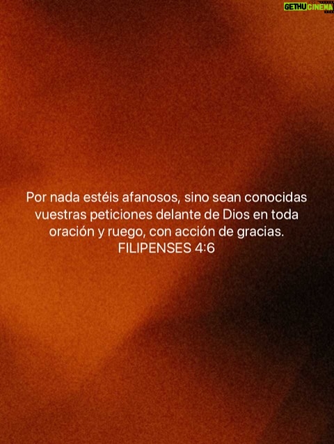 Bárbara Palacios - 3 Likes - No permitas que las circunstancias cambien en ti, el deseo de alcanzar el Propósito de Vida que DIOS te concedió 💫

“Por nada estéis afanosos, sino sean conocidas vuestras peticiones delante de Dios en toda oración y ruego, con acción de gracias. Y la paz de Dios, que sobrepasa todo entendimiento, guardará vuestros corazones y vuestros pensamientos en Cristo Jesús.”
‭‭Filipenses‬ ‭4‬:‭6‬-‭7‬ ‭ (RVR1960‬‬)🔥

“La paz os dejo, mi paz os doy; yo no os la doy como el mundo la da. No se turbe vuestro corazón, ni tenga miedo.”
‭‭S. Juan‬ ‭14‬:‭27‬ ‭ (RVR1960‬‬)🔥

DIOS te Bendiga Inmensamente ❤️

#PropositoDeVida #GraciasDios #inspiración #Inspiration #SerMejorQueAyer #DIOS #BarbaraPalacios #MissUniverse #Speaker #Author #Teologa  #Autora #Conferencista #Evangelista #LifeCoach #InspiradoraUniversal