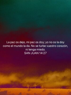 Bárbara Palacios Instagram - No permitas que las circunstancias cambien en ti, el deseo de alcanzar el Propósito de Vida que DIOS te concedió 💫

“Por nada estéis afanosos, sino sean conocidas vuestras peticiones delante de Dios en toda oración y ruego, con acción de gracias. Y la paz de Dios, que sobrepasa todo entendimiento, guardará vuestros corazones y vuestros pensamientos en Cristo Jesús.”
‭‭Filipenses‬ ‭4‬:‭6‬-‭7‬ ‭ (RVR1960‬‬)🔥

“La paz os dejo, mi paz os doy; yo no os la doy como el mundo la da. No se turbe vuestro corazón, ni tenga miedo.”
‭‭S. Juan‬ ‭14‬:‭27‬ ‭ (RVR1960‬‬)🔥

DIOS te Bendiga Inmensamente ❤️

#PropositoDeVida #GraciasDios #inspiración #Inspiration #SerMejorQueAyer #DIOS #BarbaraPalacios #MissUniverse #Speaker #Author #Teologa  #Autora #Conferencista #Evangelista #LifeCoach #InspiradoraUniversal