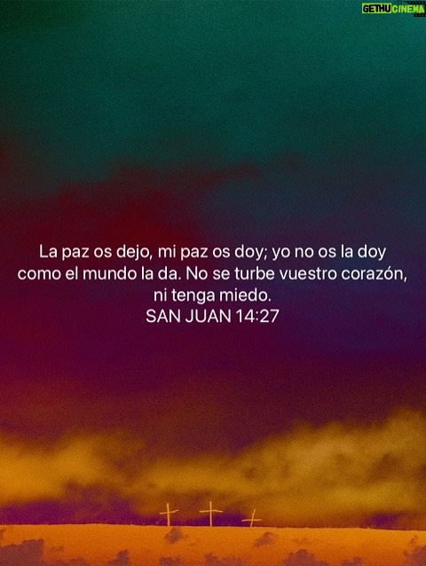 Bárbara Palacios - 3 Likes - No permitas que las circunstancias cambien en ti, el deseo de alcanzar el Propósito de Vida que DIOS te concedió 💫

“Por nada estéis afanosos, sino sean conocidas vuestras peticiones delante de Dios en toda oración y ruego, con acción de gracias. Y la paz de Dios, que sobrepasa todo entendimiento, guardará vuestros corazones y vuestros pensamientos en Cristo Jesús.”
‭‭Filipenses‬ ‭4‬:‭6‬-‭7‬ ‭ (RVR1960‬‬)🔥

“La paz os dejo, mi paz os doy; yo no os la doy como el mundo la da. No se turbe vuestro corazón, ni tenga miedo.”
‭‭S. Juan‬ ‭14‬:‭27‬ ‭ (RVR1960‬‬)🔥

DIOS te Bendiga Inmensamente ❤️

#PropositoDeVida #GraciasDios #inspiración #Inspiration #SerMejorQueAyer #DIOS #BarbaraPalacios #MissUniverse #Speaker #Author #Teologa  #Autora #Conferencista #Evangelista #LifeCoach #InspiradoraUniversal