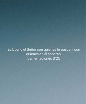 Bárbara Palacios Instagram - La bondad de DIOS es inmutable 💫

Él no depende de nuestras circunstancias; al contrario, en medio del dolor, su amor y su bondad nos sostienen. Cuando no entendemos lo que pasa, podemos confiar en que su corazón siempre es bueno.❤️

“¡Prueben ustedes mismos la bondad del Señor! ¡Dichoso aquel que en él confía!”
‭‭Salmos‬ ‭34‬:‭8‬ 🔥‭ (RVC‬‬)

“Es bueno el Señor con quienes le buscan, con quienes en él esperan.”
‭‭Lamentaciones‬ ‭3‬:‭25‬ ‭🔥 (RVC‬‬)

“¡El Señor es bueno! ¡Su misericordia es eterna! ¡Su verdad permanece para siempre!”
‭‭Salmos‬ ‭100‬:‭5‬ ‭🔥 (RVC‬‬)

DIOS te Bendiga Inmensamente ❤️

#DiosEsBueno #GraciasDios 

#inspiración #Inspiration #SerMejorQueAyer #DIOS #BarbaraPalacios #MissUniverse  #Evangelista #Autora #Conferencista #Teologa #LifeCoach #InspiradoraUniversal  #MaestraDeLaInspiracion 💖