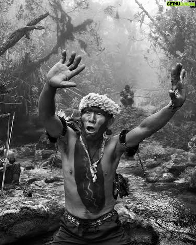 Barbara Paz - 4.4K Likes - Obrigada MAESTRO
 SEBASTIÃO SALGADO !!!

A fotografia é a memória de todos nós. 
É através dela que o mundo nos vê 

Com o preto e branco e todas as gamas de cinza, porém, posso me concentrar na densidade das pessoas, suas atitudes, seus olhares, sem que estes sejam parasitados pela cor

Não podemos ser apenas espectadores da destruição. Precisamos ser agentes de mudança - 

Sebastião Salgado.
