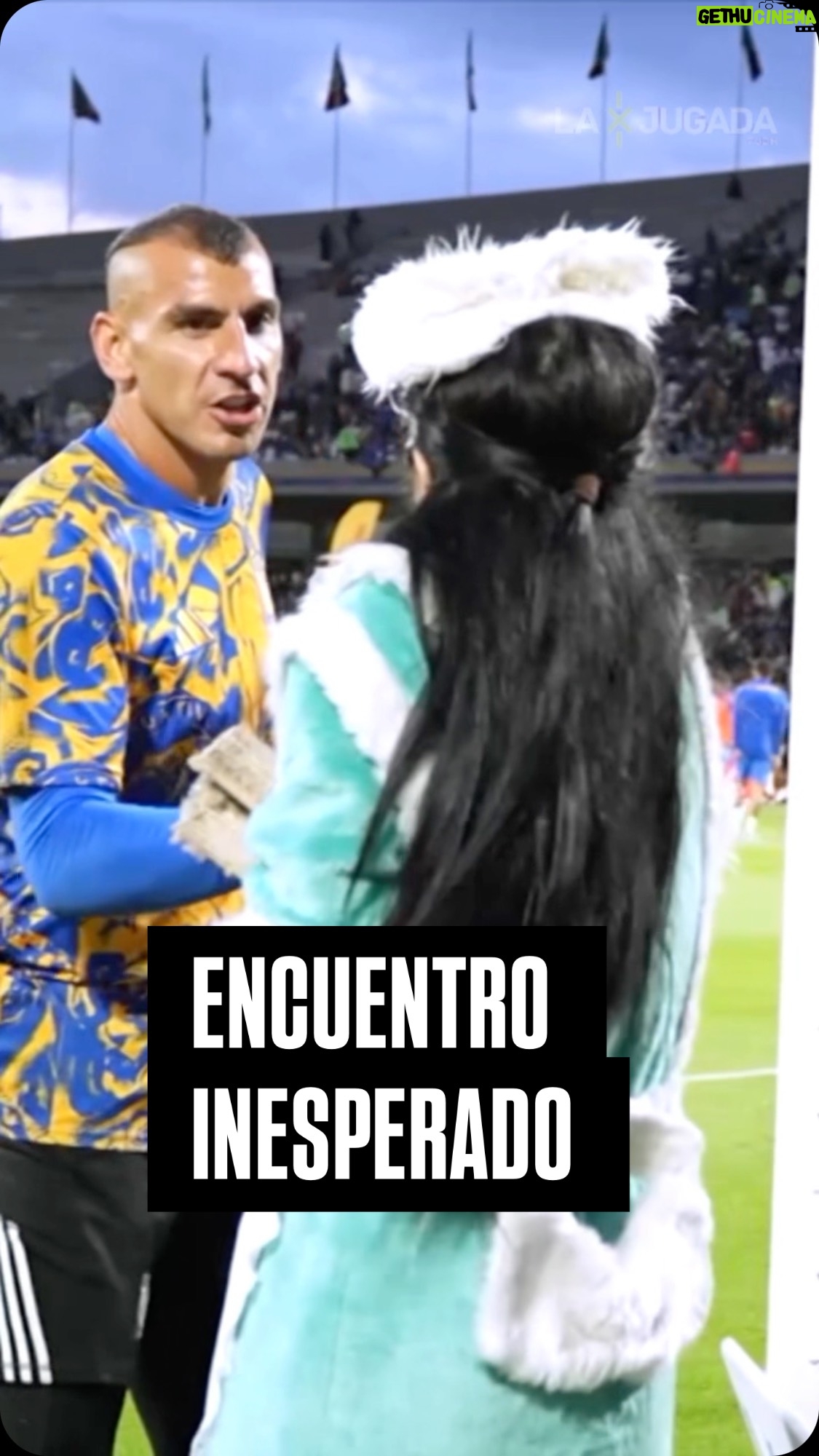 Bárbara Torres - 83 Likes - Todos quieren en su equipo a Excelsa, ella llegó hasta el arco de @nahuelguzman111 👀

#ligamx #tigres #pumas