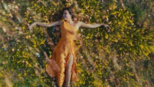 Batoul Arafa Instagram - @carolesamaha #arrialexa #cinematography #filmphotography #digitalcolorist #postproduction #dp #blackmagicdesign @colorpalette.cinema #colorgradingnfilms #turkey #35mmphotography #35mm #filmphotography #filmmaker #film #tvcommercial #videoclips #canada #colorgrade #cinematic #cinema #filmisnotdead #commercials #nigeria #colourgrading #saudiarabia #morrocco #lebanon @coloristsociety #germany #russia #kuwait #spain