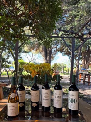 Belén Francese Instagram - Datazoooo que me vas a seguir amando @elcapricho.mza ♥️ de
Edward Holloway & Sebastián Cardamoni, maridada por @karim_mussi en el corazón de Alandes Reservas .