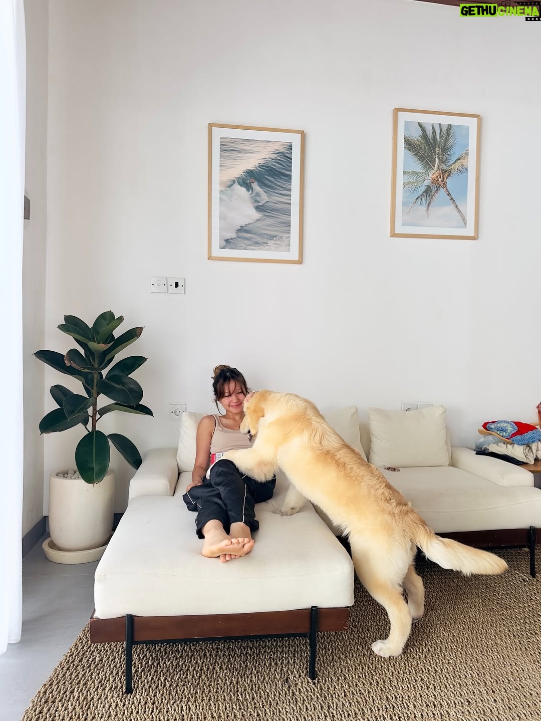 Bella Graceva - 3 Likes - 06:51pm
from the favorites 🐾🤍