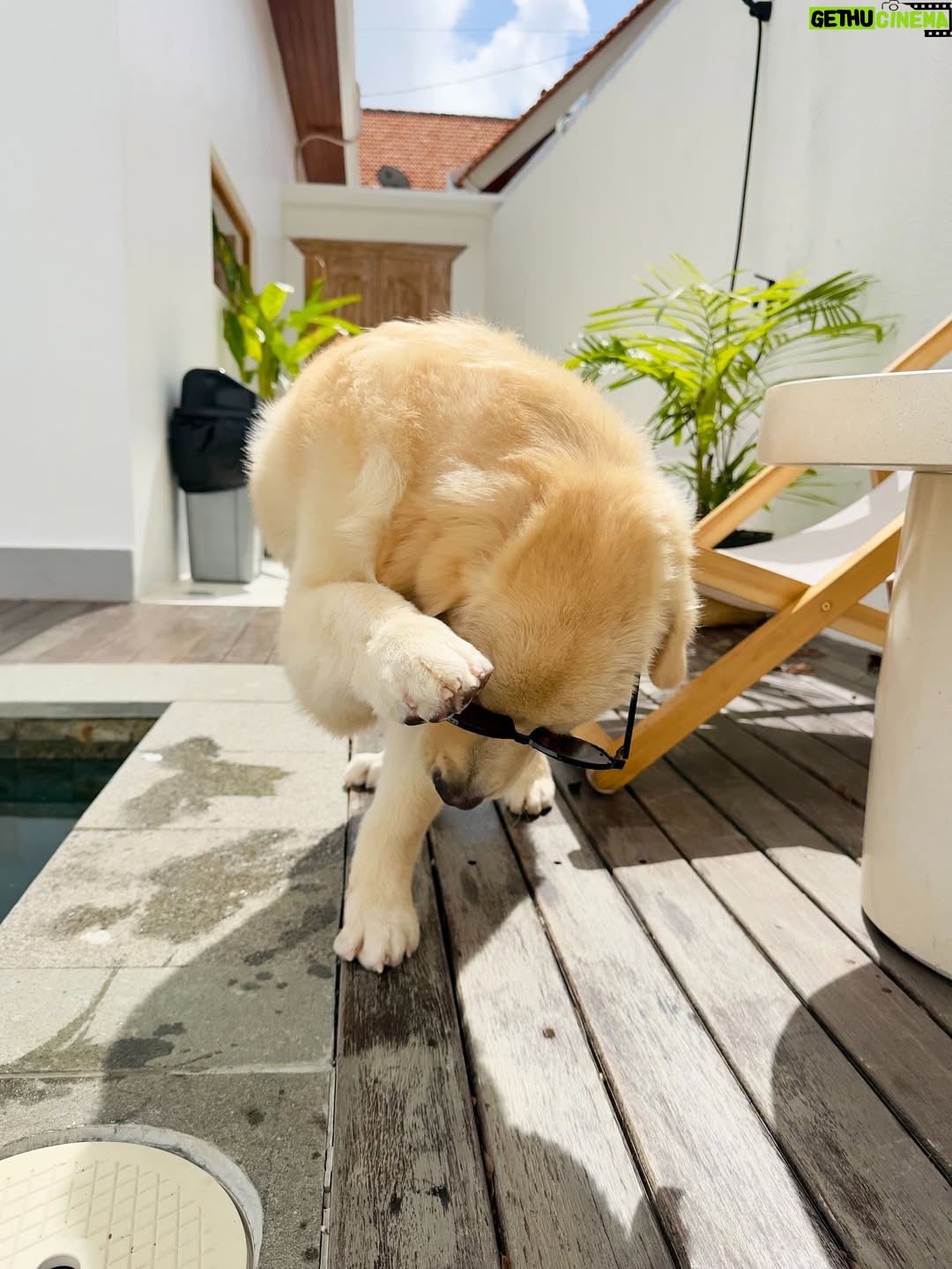 Bella Graceva - 3 Likes - 06:51pm
from the favorites 🐾🤍