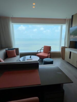 Bhumicka Singh Instagram - So grateful for all hotels , resorts and people who work with me 🥹 ❤️ because of you I get to see these views 🫶🏻We often take things for granted , when a hotel or resort collaborates with you they offer you the best of their services, food and amennities. Having worked with top hotels resorts and restaurants Iv learnt be grateful 😍
Wearing @angel_croshetswimwear 
#travel #travelingram #traveltheworld #traveltheworld #picoftheday #luxlife #luxurylifestyle