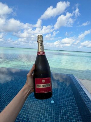 Bhumicka Singh Instagram - Silent luxury needs no ai 🌟🤌🏻🫶🏻
#lux #luxurylifestyle #luxuryliving #picofthedays #picoftheweek #travelgram #travelblogger #travelphotography #sea #beach #beachvibes #beachbody