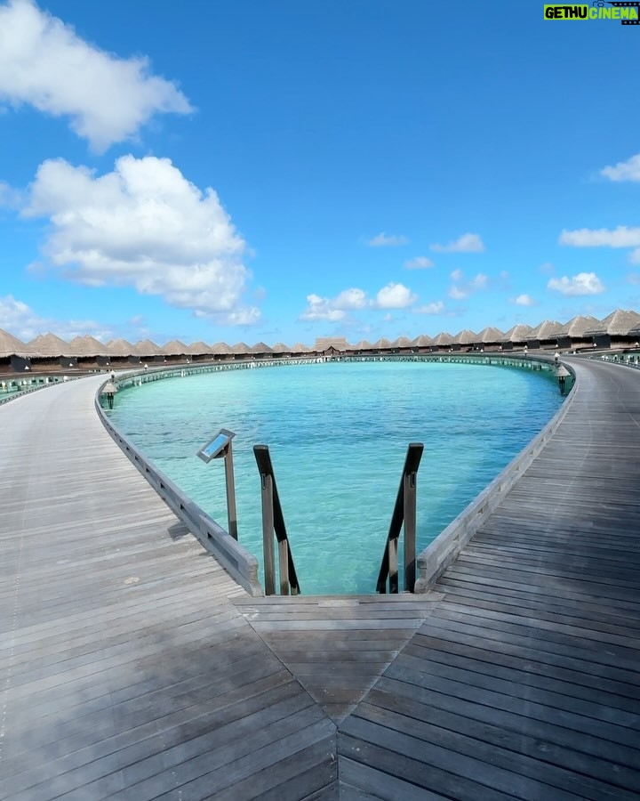 Bhumicka Singh - 35.7K Likes - Moments before we dive into the ocean pics are mandatory @tajmaldives 🦈
#maldives #maldivesislands #maldivesresorts #maldivestrip #maldives🌴 #beachresort #ocean #oceanside #oceanview #oceanlove #beautifuldestinations #travelphotography #travelling #travelawesome #bikini #bikiniseason #picoftheday #oceanbeach #swimlife #fish #babyshark #photodump #taj #tajmaldives