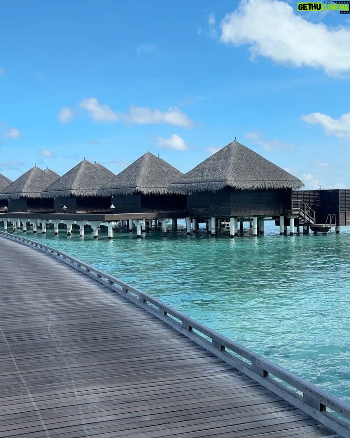 Bhumicka Singh - 35.7K Likes - Moments before we dive into the ocean pics are mandatory @tajmaldives 🦈
#maldives #maldivesislands #maldivesresorts #maldivestrip #maldives🌴 #beachresort #ocean #oceanside #oceanview #oceanlove #beautifuldestinations #travelphotography #travelling #travelawesome #bikini #bikiniseason #picoftheday #oceanbeach #swimlife #fish #babyshark #photodump #taj #tajmaldives