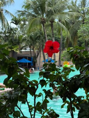 Bhumicka Singh Instagram - Dear diary - a small photo dump -I love Phuket 😉 it’s been a week since I’m back and already planning another one 🤣
@novotelphuketkataavista 
#phuket #phuket🌴 #phuketresort #thailand #thailandtravel #thailandtravel #thailandinstagram #luxury #hotel #hotels #resort #adayinthailand #phukethotel #katabeachphuket #katabeach #picoftoday #instamood #phuketisland #phuketstagram