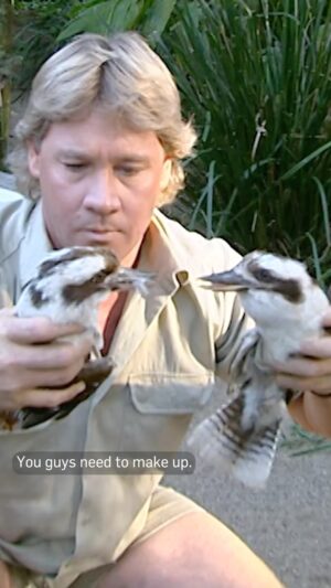 Bindi Irwin Instagram - This #flashback makes my heart happy. Dad’s kindness and love for all species will live on forever.