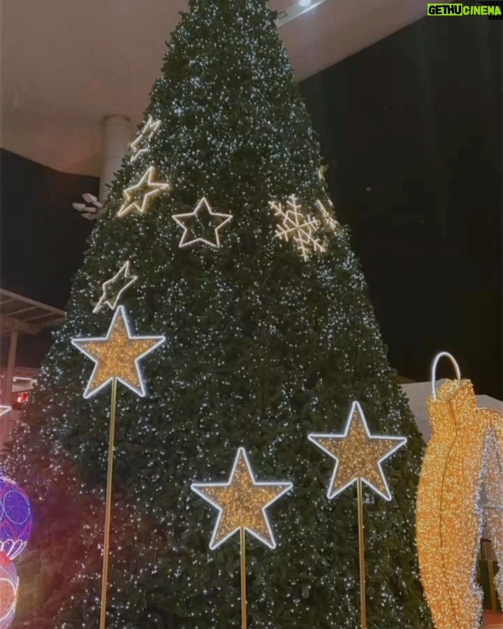 Bobby Soxer - 5.2K Likes - Christmas Photo Dump 🎄📸