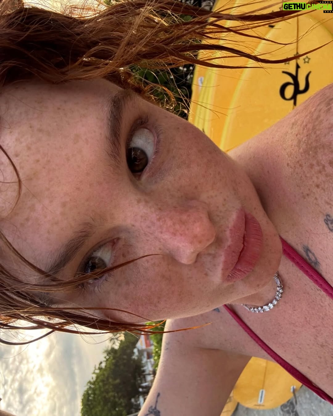 Brigitte Bozzo - 433.7K Likes - Ese maravilloso día fui a la playa a las 3:40 de la mañana en Brasil para ver este amanecer tan bello.🇧🇷🤎 
2025 lleno de belleza y de muchas oportunidades, hay que aprender a ser tan fascinante como las maravillas del mundo y se nos olvida que venimos de esta creación y creamos cosas bellas también. ✨