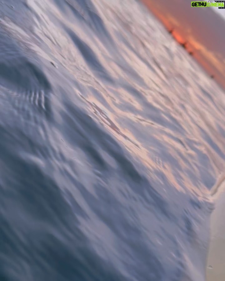 Brigitte Bozzo - 433.7K Likes - Ese maravilloso día fui a la playa a las 3:40 de la mañana en Brasil para ver este amanecer tan bello.🇧🇷🤎 
2025 lleno de belleza y de muchas oportunidades, hay que aprender a ser tan fascinante como las maravillas del mundo y se nos olvida que venimos de esta creación y creamos cosas bellas también. ✨