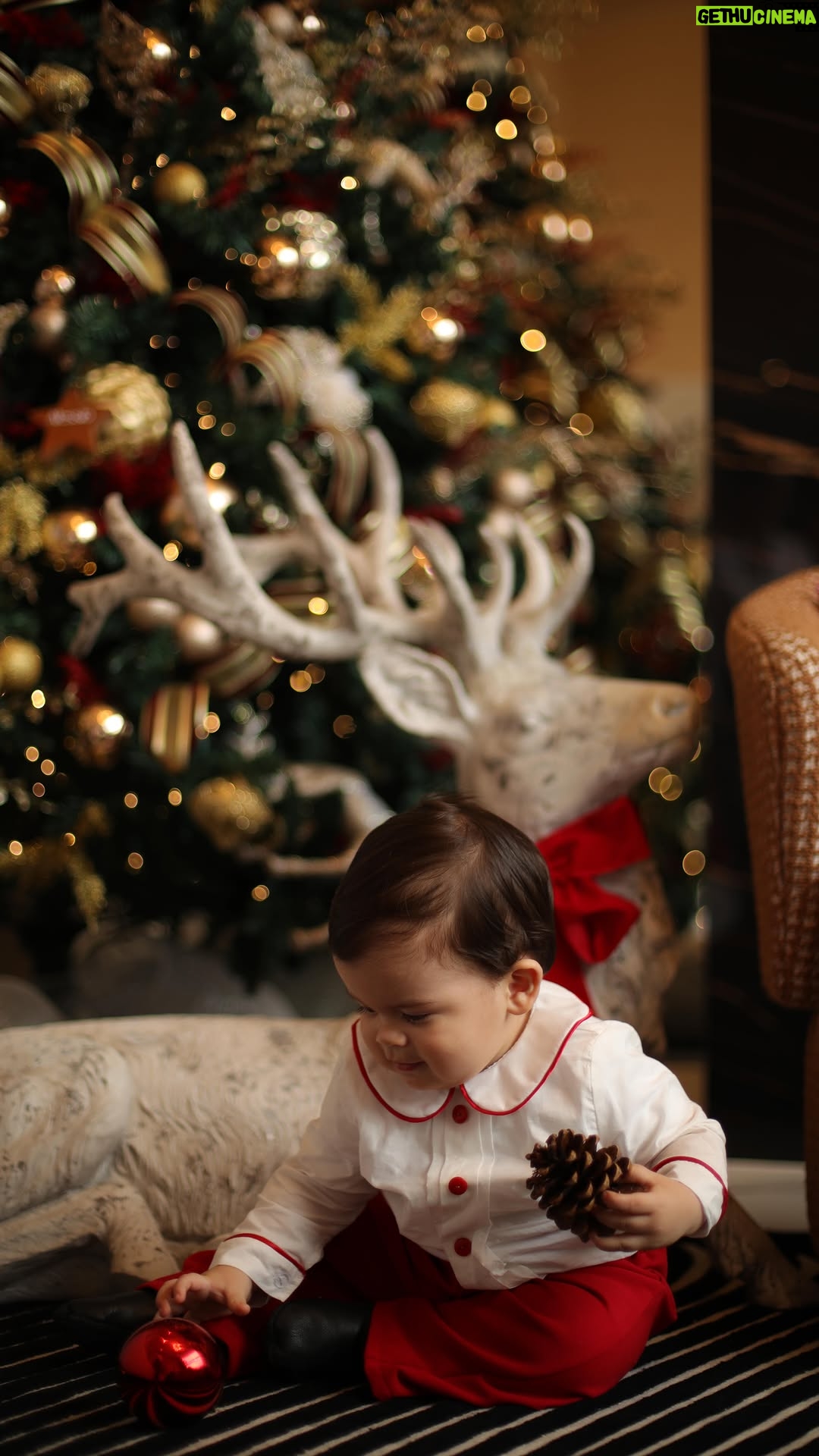 Brunella Horna - 41.3K Likes - Familia completa ❤️
Por fin estamos todos juntos 🫶🏻 
Feliz Navidad para todos 🎄