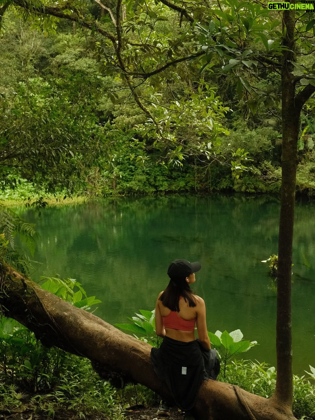 Callista Arum - 563.4K Likes - archives🍃