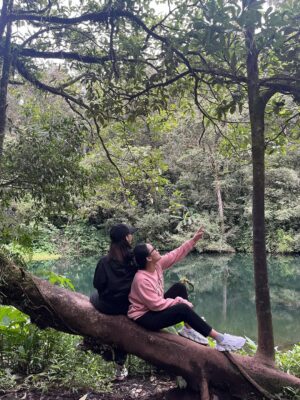 Callista Arum Instagram - archives🍃