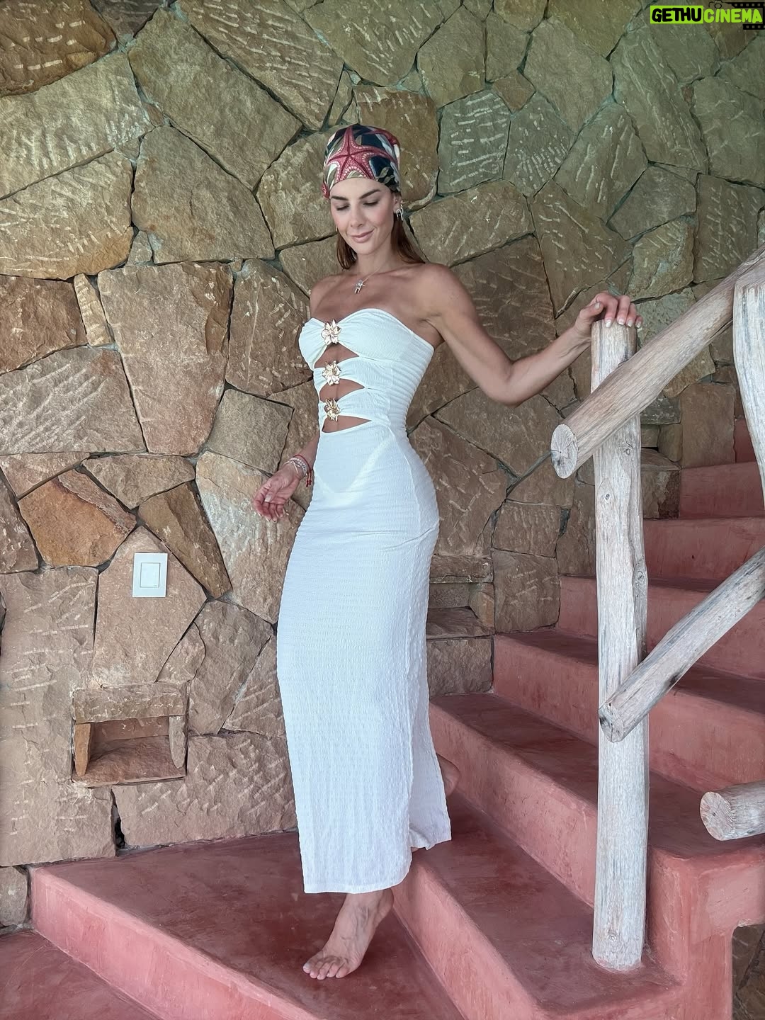 Carolina Cruz - 47.6K Likes - PRESENTE ☀️
@calamambo
