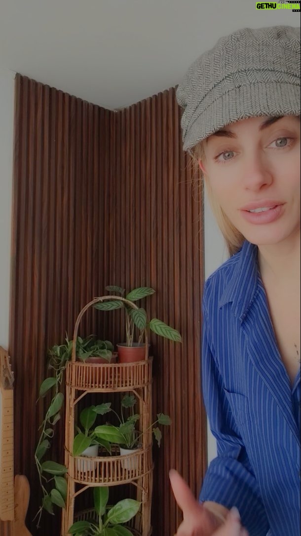 Catalina Palacios - 2.1K Likes - @kenaz.cl es el lugar 😍❤️🙏 y tiene diferentes tiendas? Todas al mismo nivel de calidad y atención 🌵🌳🌲🪴 se que habemos por aquí muchos amantes de las plantas ☺️ po eso se los comparto, yo recién poniendo al día mi casa, creando, limpiando y poniendo al día todo! Y parte de eso es recuperar mi selva interior jajajja por qué es una de las cosas que me hace mas feliz, l naturaleza 😍