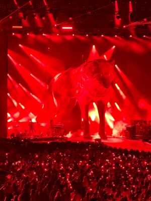 Caterina Valentino Instagram - 𝐐𝐮𝐢é𝐧 𝐦á𝐬 𝐚𝐦𝐚 𝐬𝐮 𝐦ú𝐬𝐢𝐜𝐚⁉️ @shakira
VIENEN CONMIGO SIEMPRE es 𝐈𝐍𝐄𝐕𝐈𝐓𝐀𝐁𝐋𝐄 ♥️
@bizarrap el increíble @alejandrosanz 🔥 @manuelturizo
Yo llegue sin voz y sin zapatos a la casa 😂
@hardrockcafe @hardrockstadium the best!
#lasmujeresyanolloranworldtour
#LastNight #miami