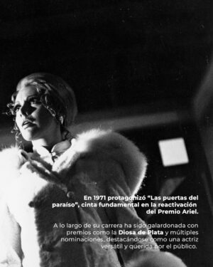 Chantal Andere Instagram - Este 20 de septiembre, en la 67ª edición de los Premios Ariel, celebramos la trayectoria de Jacqueline Andere, figura imprescindible del cine, el teatro y la televisión, será galardonada con el Ariel de Oro 🏆 por su invaluable contribución artística y su legado imborrable en la cinematografía mexicana. 🇲🇽

¡Enhorabuena, Jacqueline!

📷: @milnubesfoto

───────────────
#Ariel67 #ArielDeOro #JacquelineAndere
