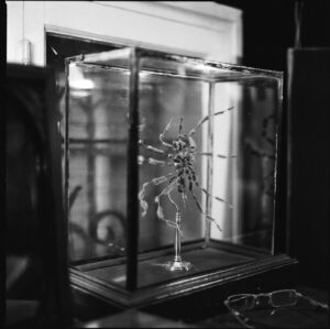Charlotte Gainsbourg Instagram - la maison de mon père, mes images..
l’araignée du 5bis
ouverture de la @maisongainsbourg le 20 septembre 2023
#maisongainsbourg #5bisruedeverneuil #sergegainsbourg #memories