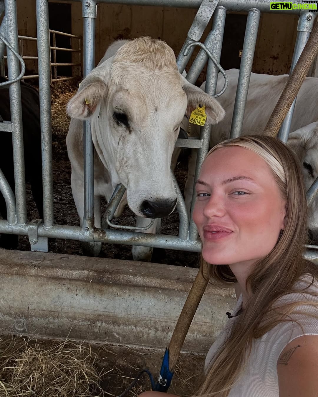 Cheyenne Ochsenknecht - 8.8K Likes - I’m made for the farm life ✨🫶🏻👩🏼‍🌾