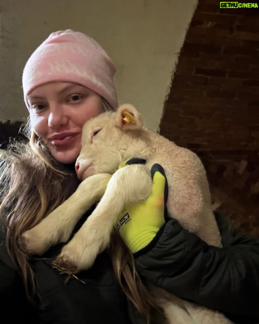 Cheyenne Ochsenknecht - 19.9K Likes - pure farm joy ✨🌾🍼