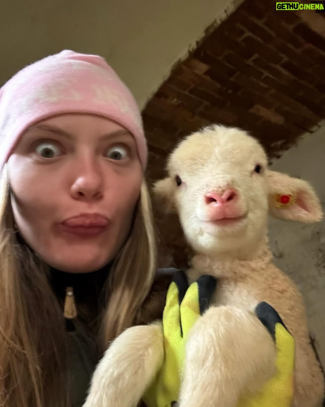 Cheyenne Ochsenknecht - 19.9K Likes - pure farm joy ✨🌾🍼